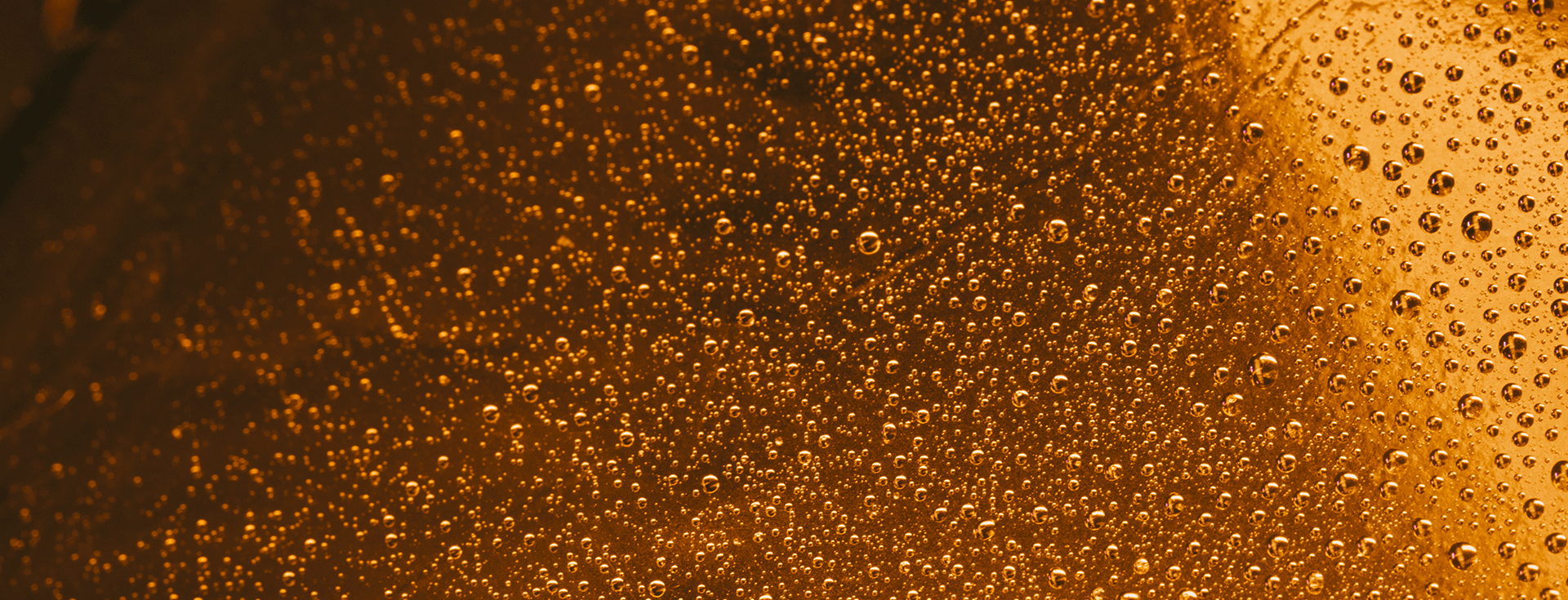 beer-background1920x735